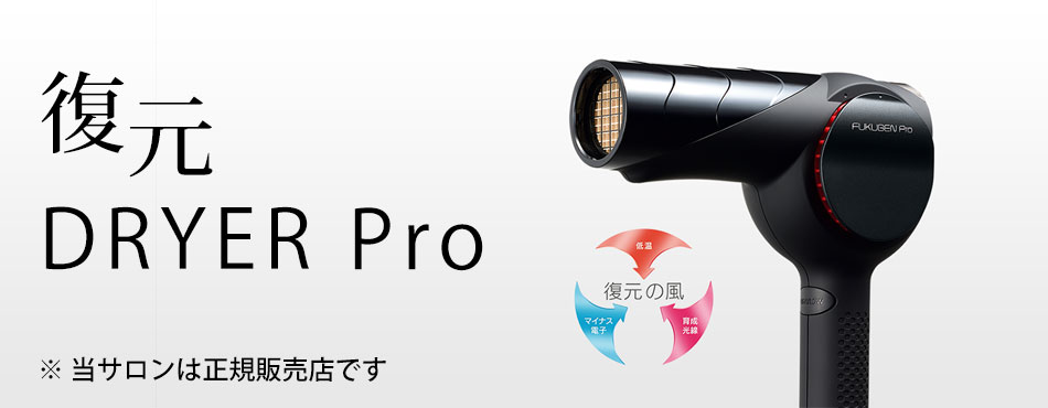 女の子向けプレゼント集結 ヘアドライヤー FUKUGEM PRO LJ-365DR ヘア